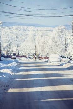 Small streets and trees in town covered in snow