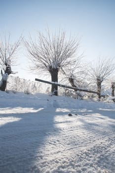 Small streets and trees in town covered in snow
