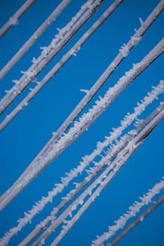 Electric wires covered in snow particles
