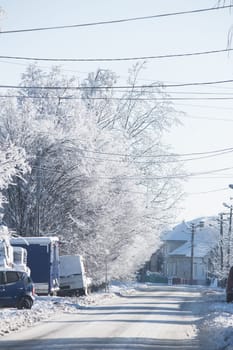 Small streets and trees in town covered in snow