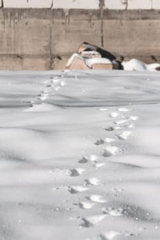 Path of animal marks on the snow during winter