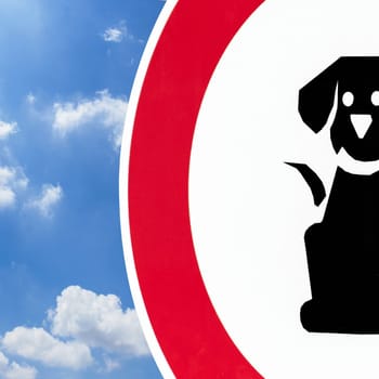 No dogs allowed. No pets allowed sign in the park. Close-up.