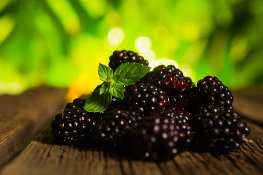 Sweet fresh  blackberry in the wood bawl