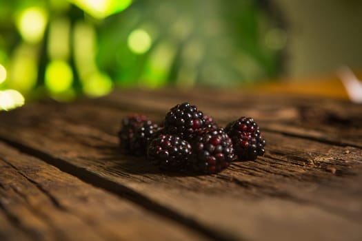 Sweet fresh  blackberry in the wood bawl