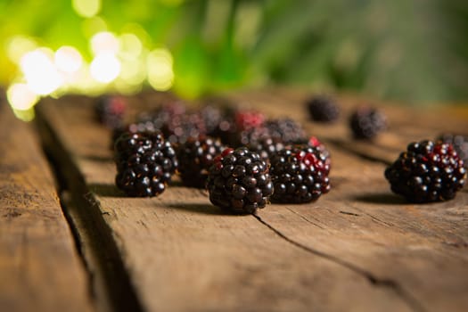 Sweet fresh  blackberry in the wood bawl