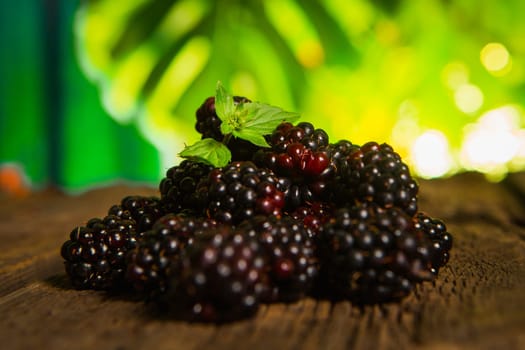 Sweet fresh  blackberry in the wood bawl