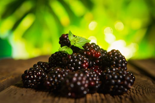 Sweet fresh  blackberry in the wood bawl