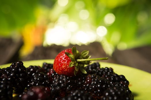 blackberries and strawberries