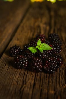Sweet fresh  blackberry in the wood bawl