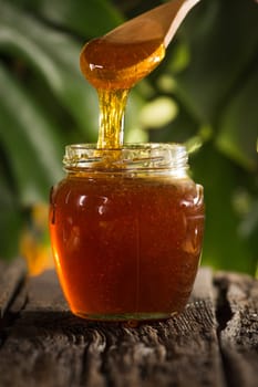 Close-up shot of flowing honey over green background