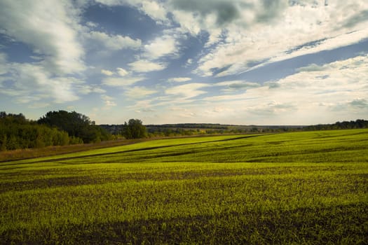 green field and blue sky