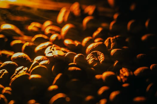 Coffee beans and cinnamon sticks