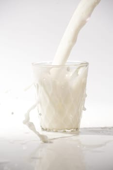 pouring milk in a glass isolated against white background