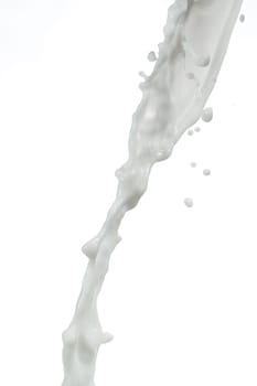 Milk splash on white background