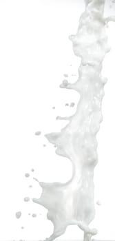 Milk splash on white background