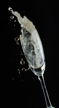 Glass of champagne with splash, isolated on black background