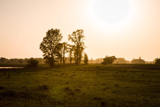 field on sunset