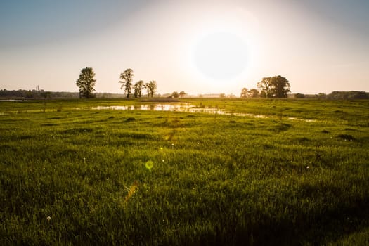 field on sunset