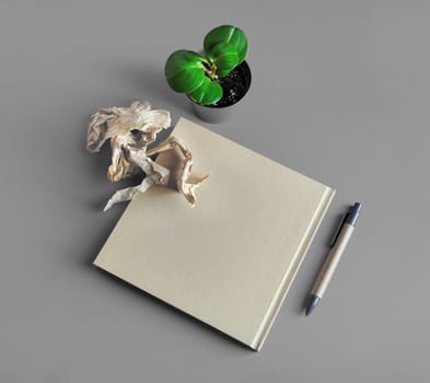 Brown paper stationery and plant on gray paper background.