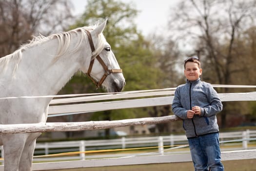 white horse looks at the boy, Czech Republic