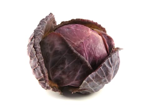purple cabbage isolated on the white background