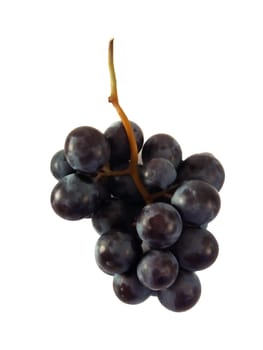 close up of grapes over white background