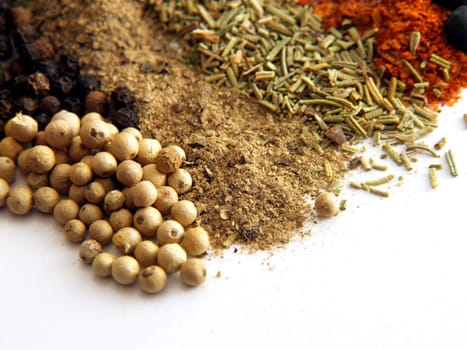 closeup of various colorful spices over white