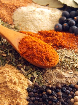 spoon of paprika above various of spices