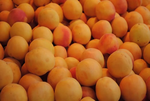 A lot of fresh apricot at the green market