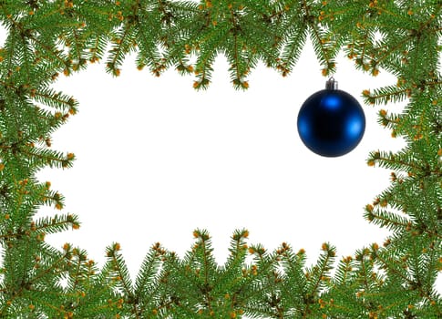 frame of pine branches over white