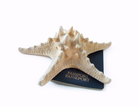 Passport and starfish isolaed over white