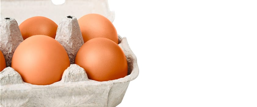 Brown eggs in a cardboard box. Isolated on a white background. Layout, layout, space for logo and text.