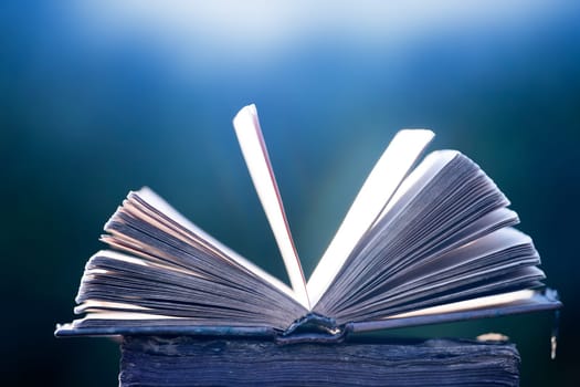 Literature, reading concept: old open book