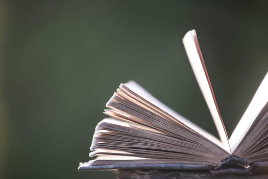 Literature, reading concept: old open book