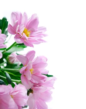 Flower bouqet isolated over white background