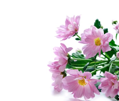 Flower bouquet isolated over white background