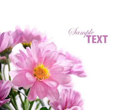 Flower bouquet isolated over white background