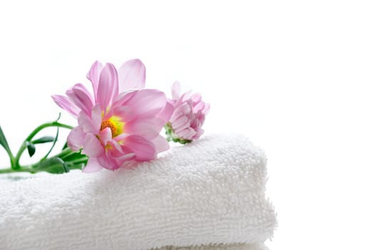 Clean towel with fresh flowers isolated over white