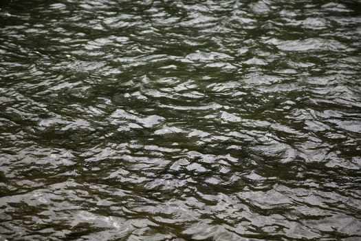 Detail of salt water offshore, nature
