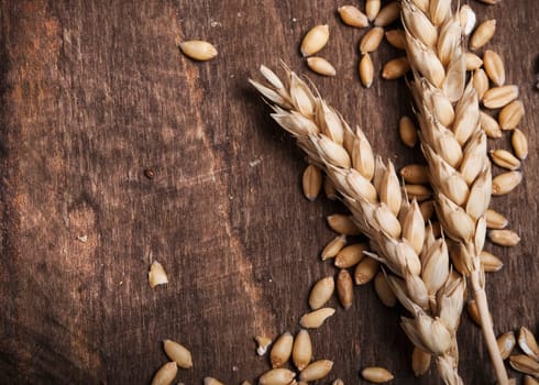 Wheat ears on an old wooden plank
