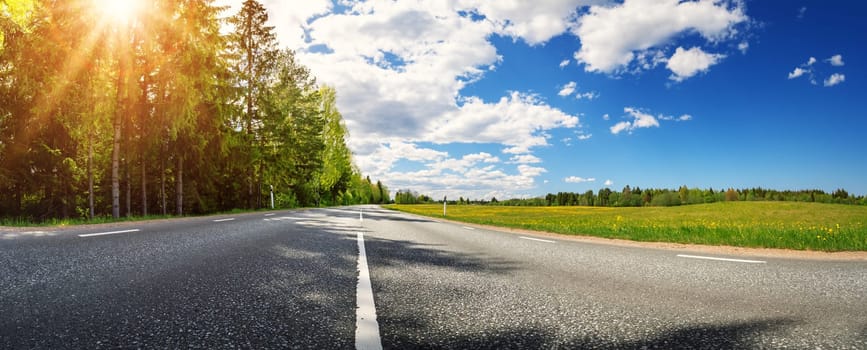 Asphalt road with beautiful trees on the one side and with field of fresh green grass and dandelions on another. Concept of family travels together.