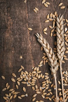 Wheat ears on an old wooden plank