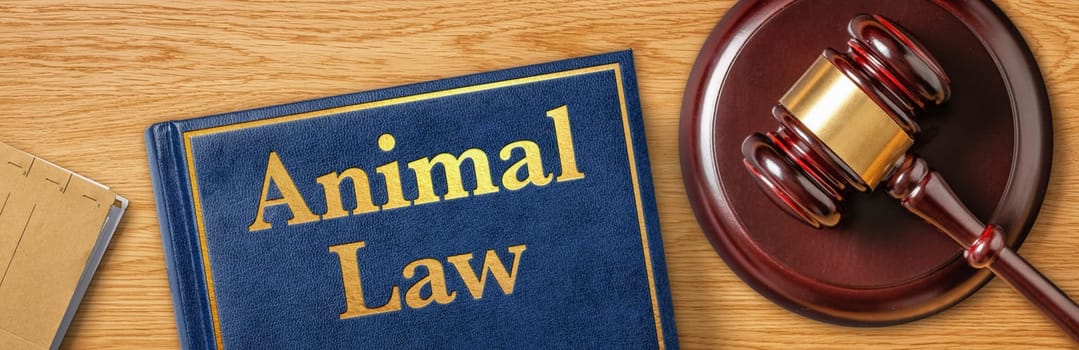 A gavel with a law book - Animal Law