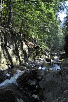 Große Ohe in the Steinklamm in Spiegelau