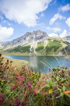 Mountain landscape: Rocky mountain range, clear water lake, colorful flowers and blue cloudy sky
