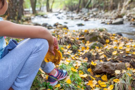 Little girl grabs a handful of yellow leaves beside mountain river. Children and autumn season concept