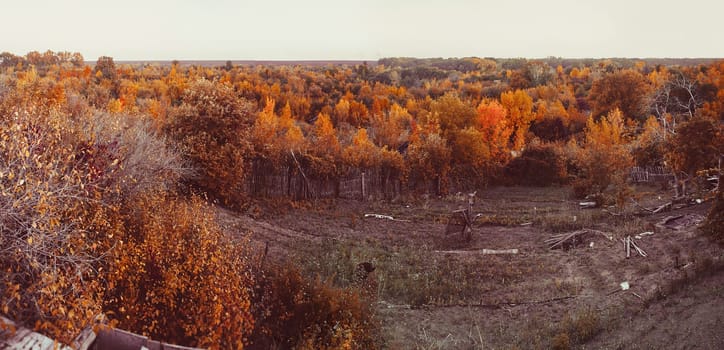 Mountain autumn landscape with colorful  forest