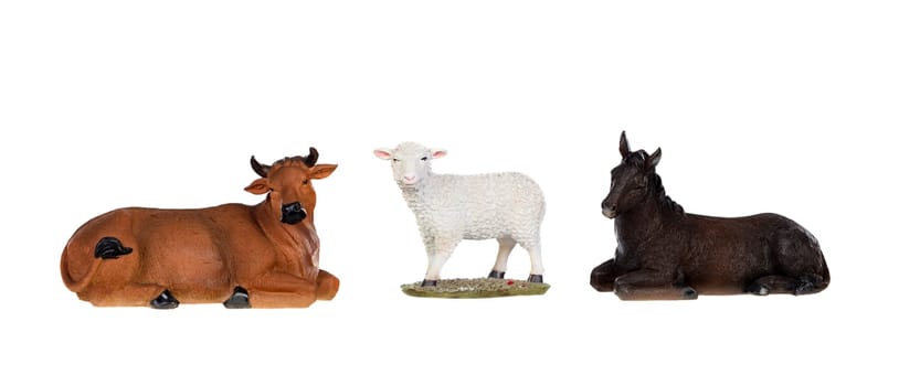A sheep with the ox and the mule, isolated on white background