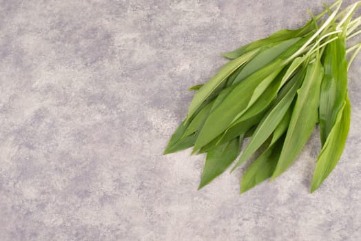 Fresh wild garlic leaves on a textured background, empty copy space for text