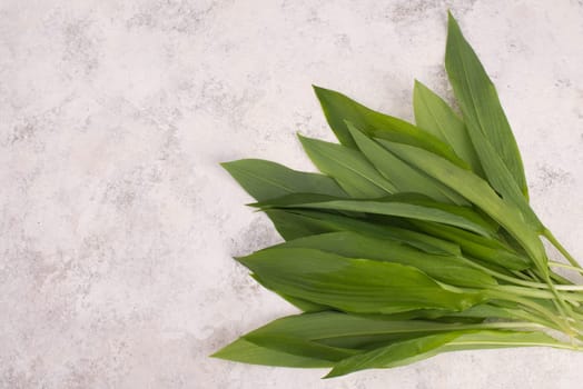 Fresh wild garlic leaves on a textured background, empty copy space for text